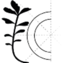 Imaginary Component
