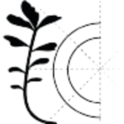Imaginary Component